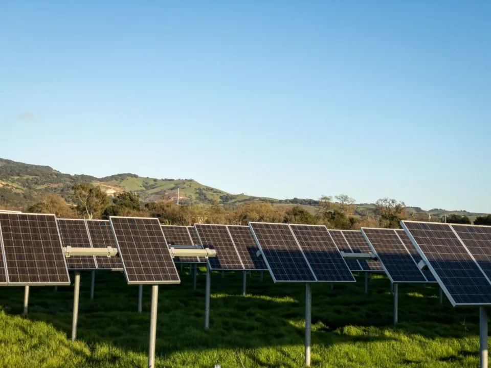 Rows of ground-mounted solar panels